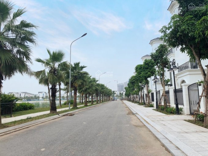 Biệt Thự đơn Lập San Hô Dự án Vinhomes Ocean Park Diện Tích 224m2 Giá 24 Tỷ, Liên Hệ 0911341288 4