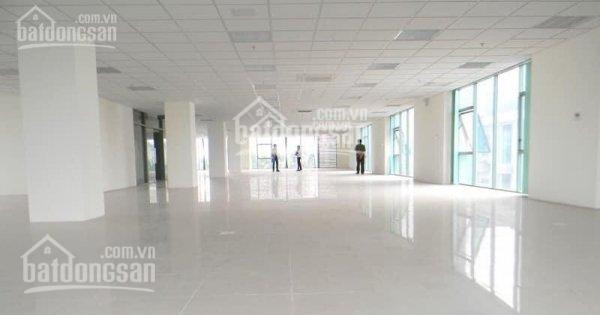 Bql Cho Thuê Văn Phòng Mipec Tây Sơn, đống đa, Dt 100m2 - 2000m2, Giá Chỉ 150 Nghìn/m2/tháng 6