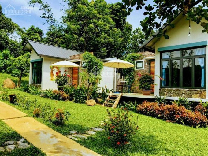 Cần Chuyển Nhượng Gấp Homestay Tại Vân Hòa Ba Vì HnChi Tiết Lh 0984159168 6