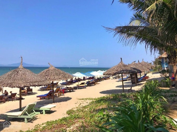 Cao Tốc Dầu Giây - Phan Thiết Khởi Công, đây Là Cơ Hội Không Thể Nào Tốt Hơn 2