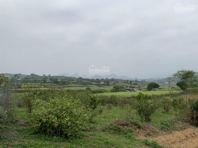 Chỉ Hơn 800 Triệu Có Ngay 2800m2 Nam Phong, Cao Phong, Hòa Bình 3