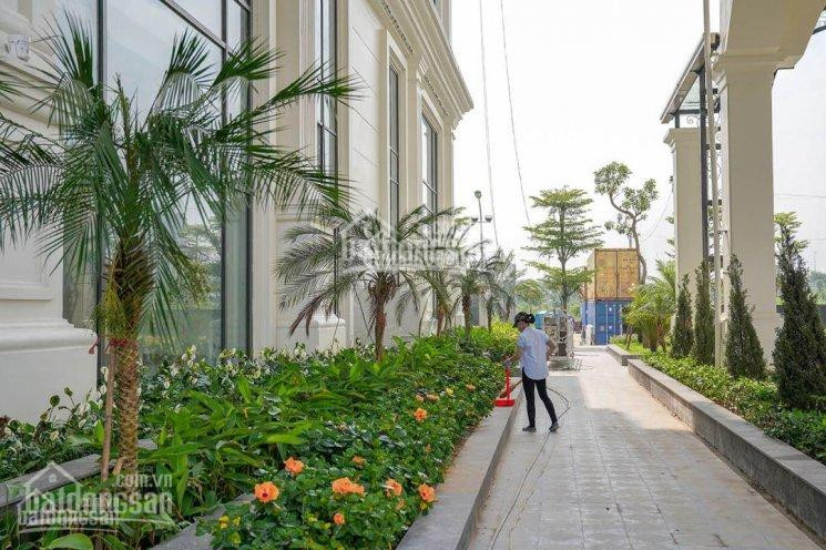 Chính Chủ Bán Căn 2 Phòng Ngủ Tòa R3, Sunshine Riverside, Hướng đông View Sông Hồng, Hồ Tây-255 Tỷ 2