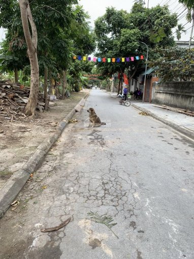 Chính Chủ Bán Nhanh 100m2 đất Vân Tra An đồng Ngõ ô Tô đường 6m Bìa đỏ Chót Cực Tiềm Năng Giá Hạt Rẻ Lh 0931593232 2