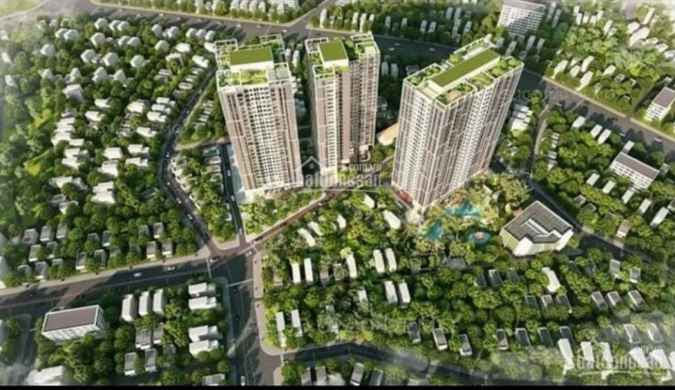 Chính Chủ Bán Nhanh Căn 65m2 Tầng 16 Tòa Tropical Dự án Feliz Homes Panorama Hoàng Mai, Giá Gốc, Ck 55%, 10% Ký Hđ 2