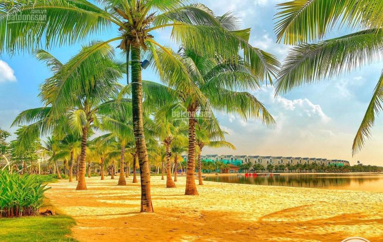 Chính Chủ Bán Nhanh Căn Liền Kề Sao Biển 2 Khu đô Thị Vinhomes Ocean Park, Nhìn Vườn Hoa, Giá Rẻ 2