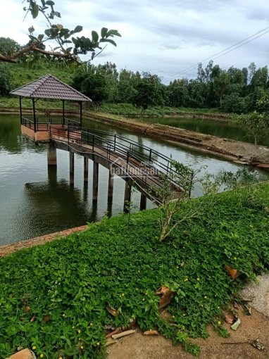 Chính Chủ Bán Nhanh đất 3 Mẫu đường Lý Thường Kiệt, Thích Hợp Phân Lô Hoặc Khu Nghỉ Dưỡng, Giá 35 Tỷ 7