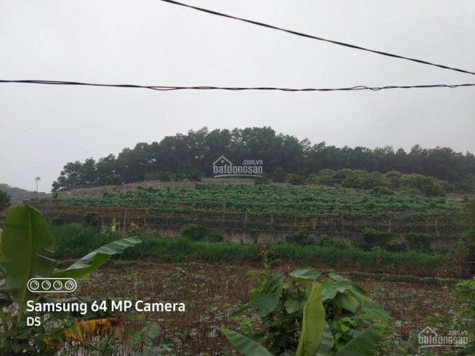 Chính Chủ Bán Nhanh đất Lạc Thủy 1,3ha View Cao Thoáng,nằm Ngay đường Liên Xã, Giá Chỉ Hơn Tỷ 1