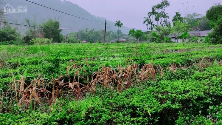 Chính Chủ Bán Nhanh đất Lương Sơn 2800m Bám Suối Lớn, Cách đường Nhựa Lớn 200m, Giá Chỉ Hơn Tỷ 4