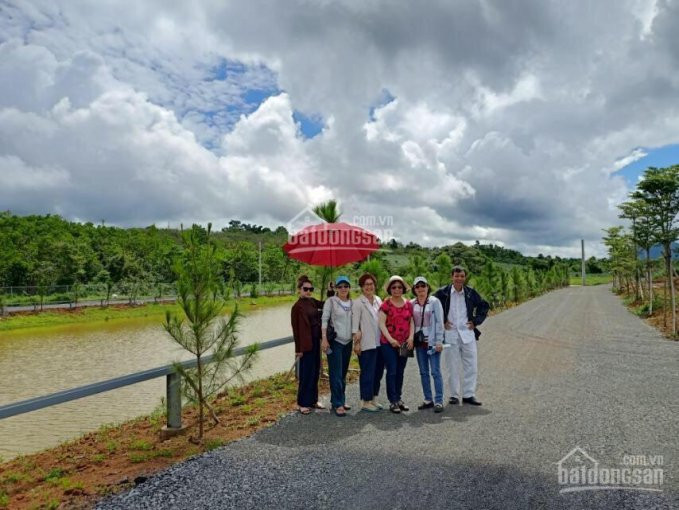 Chính Chủ Bán Nhanh đất Nền Bảo Lộc Park Hill4f, Khu đất đẹp Hót ơi Là Hót Quý Vị ơi 1