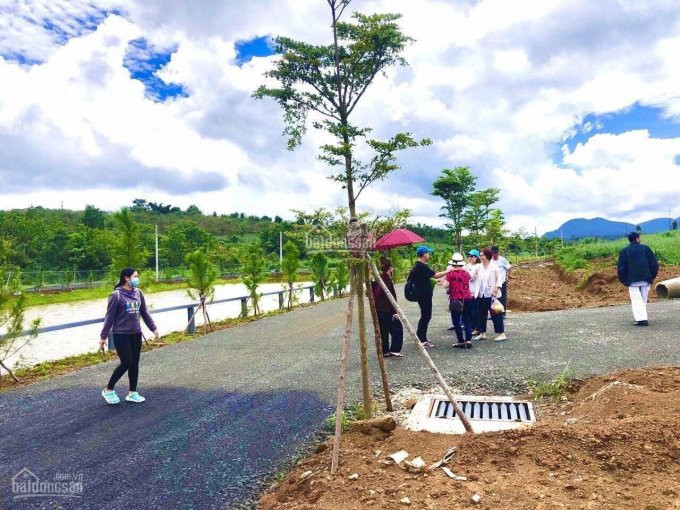 Chính Chủ Bán Nhanh đất Nền Bảo Lộc Park Hill4f, Khu đất đẹp Hót ơi Là Hót Quý Vị ơi 2