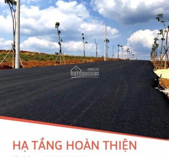 Chính Chủ Bán Nhanh đất Nền Bảo Lộc Park Hill4f, Khu đất đẹp Hót ơi Là Hót Quý Vị ơi 4