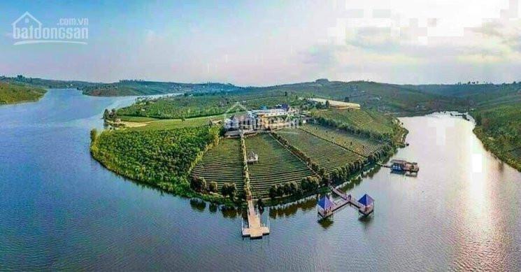 Chính Chủ Bán Nhanh đất Nền Thành Phố Bảo Lộc Park Hill 4e, Có Sổ Riêng Từng Nền Pháp Lý An Toàn Rồi Anh Chị ạ 2