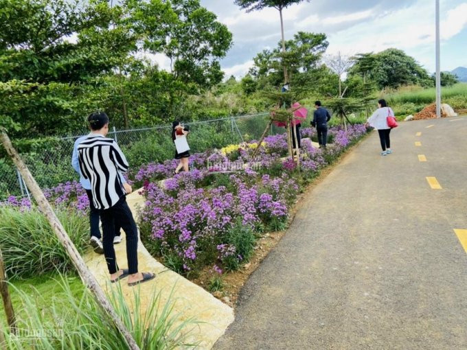 Chính Chủ Bán Nhanh đất Nền Thành Phố Bảo Lộc Park Hill 4e, Có Sổ Riêng Từng Nền Pháp Lý An Toàn Rồi Anh Chị ạ 4