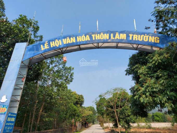 Chính Chủ Bán Nhanh đất Nghỉ Dưỡng, Homestay Minh Phú, Sóc Sơn 2