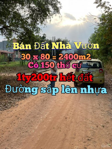 Chính Chủ Bán Nhanh đất Nhà Vườn Giá Rẻ Chưa Qua đầu Tư 1