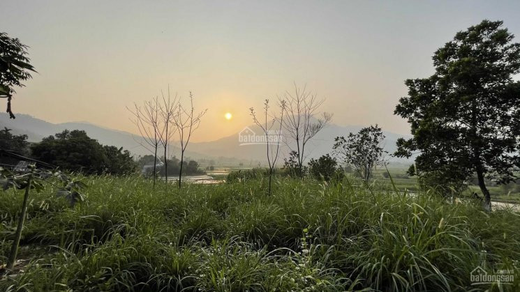 Chính Chủ Bán Nhanh đất Yên Bài - Ba Vì - Hà Nội 1