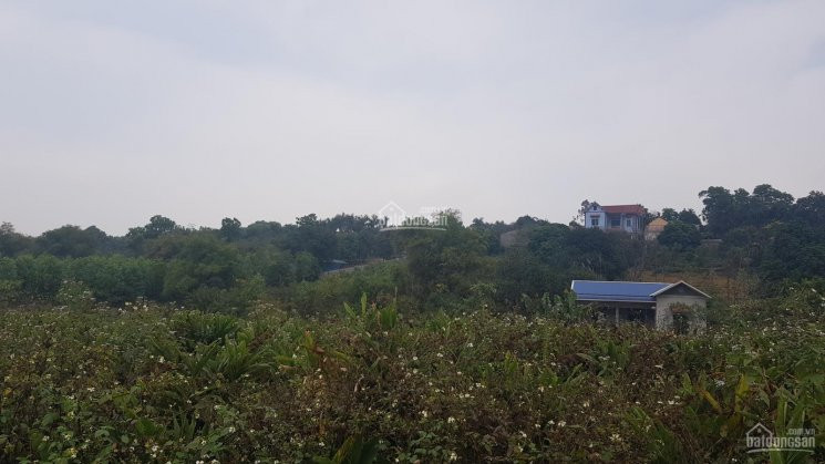 Chính Chủ Bán Nhanh Gấp 1399m2 Thổ Cư Cách Sân Golf Sky Lake 1km Liên Sơn, Lương Sơn, Hòa Bình 3