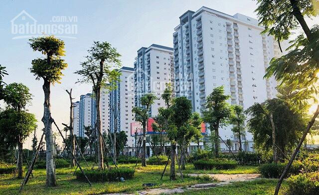 Chính Chủ Bán Nhanh Lô đất Biệt Thự Sau Shophouse Khu Thanh Hà Cienco 5 Giá Tốt Nhất Thị Trường 4