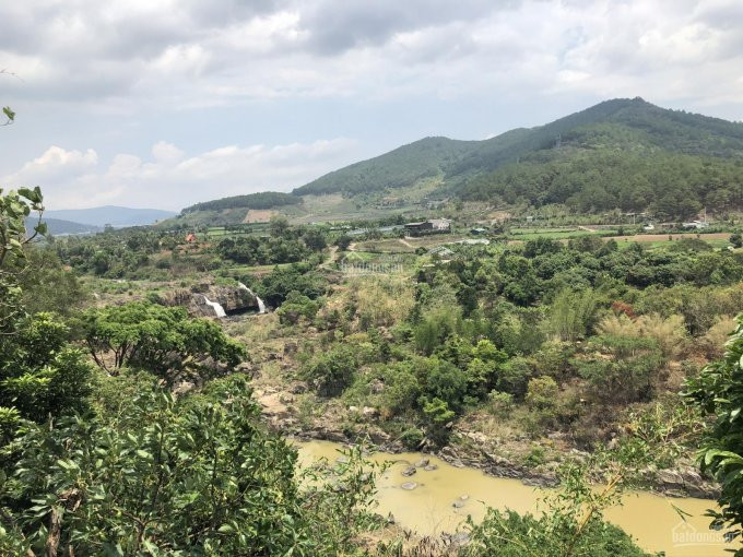 Chính Chủ Bán Nhanh Lô đất đường Phù đổng Thiên Vương, đối Diện Sân Bay Liên Khương, View Thác Liên Khương Siêu đẹp 1