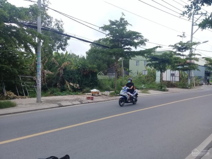 Chính Chủ Bán Nhanh Nhanh đất Thổ Vườn Mặt Tiền Nguyễn Văn Tạo, Nhà Bè, Gần ủy Ban Xã Hiệp Phước Lh: 0383091186 2