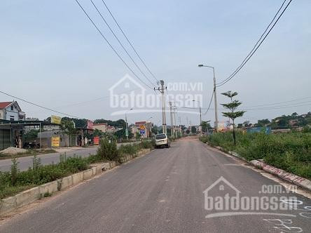 Chính Chủ Cần Bán Gấp Lô đất đấu Giá Gần Ubnd Xã Phi Mô, Giáp Kđt Rùa Vàng City, Lạng Giang, Bắc Giang 1