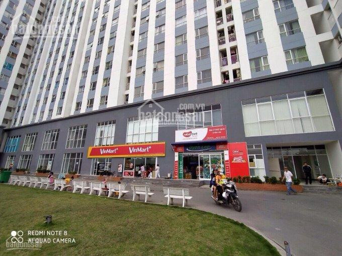 Chính Chủ Cần Cho Thuê Căn Hộ Zen Tower 75m2, Giá 5,5 Triệu, Hướng đông Nam, Lh 0909859993 3