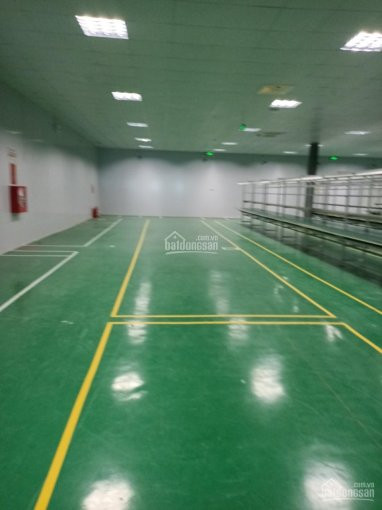 Chính Chủ Cần Cho Thuê Xưởng đã Có Phòng Sạch Dt 1000m2, 1200m2, 2500m2, Giá Rẻ Vĩnh Phúc 2