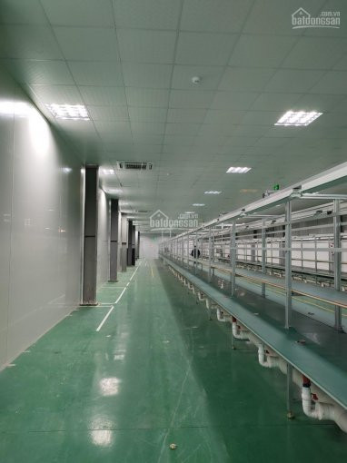 Chính Chủ Cần Cho Thuê Xưởng đã Có Phòng Sạch Dt 1000m2, 1200m2, 2500m2, Giá Rẻ Vĩnh Phúc 3