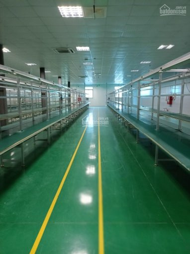 Chính Chủ Cần Cho Thuê Xưởng đã Có Phòng Sạch Dt 1000m2, 1200m2, 2500m2, Giá Rẻ Vĩnh Phúc 4