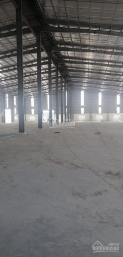 Chính Chủ Cho Thuê Nhanh 03 Kho Xưởng Dt 1600m2, 1900m2 Và 3000m2 Nằm Riêng Biệt Mặt Tiền Tại Kcn Tân đức, đức Hòa 9