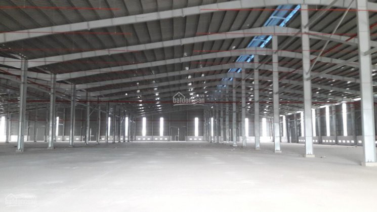 Chính Chủ Cho Thuê Nhanh Kho Xưởng 10000m2, Tân Uyên, Bình Dương Lh 0934794122 1