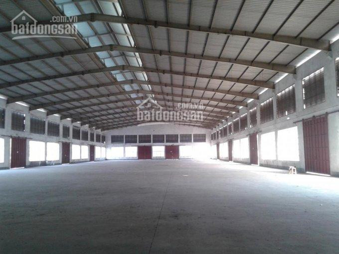 Chính Chủ Cho Thuê Nhanh kho Xưởng 600m2 Ngay Kcn Tân Bình đường M1, Phường Tây Thạnh, Quận Tân Phú 1