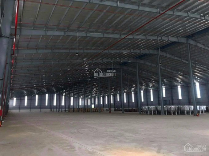 Chính Chủ Cho Thuê Nhanh Kho Xưởng Kcn Vsip2a 10000m2 1