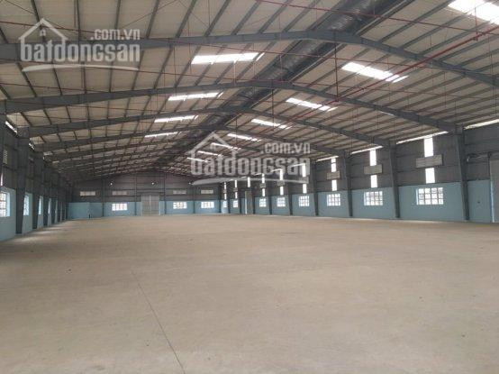 Chính Chủ Cho Thuê Nhanh Nhà Xưởng 3000m2 Mới Xây Dựng, Phường Bình Chuẩn, Thuận An, Bình Dương Lh: 0908561228 3