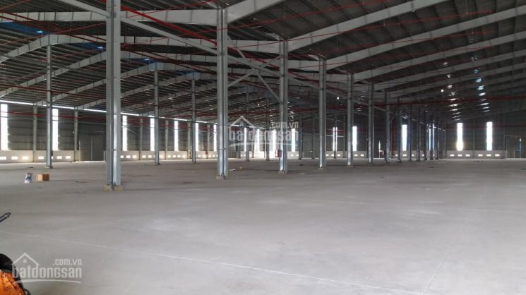 Chính Chủ Cho Thuê Nhanh Nhà Xưởng 3000m2 Mới Xây Dựng, Phường Bình Chuẩn, Thuận An, Bình Dương Lh: 0908561228 4