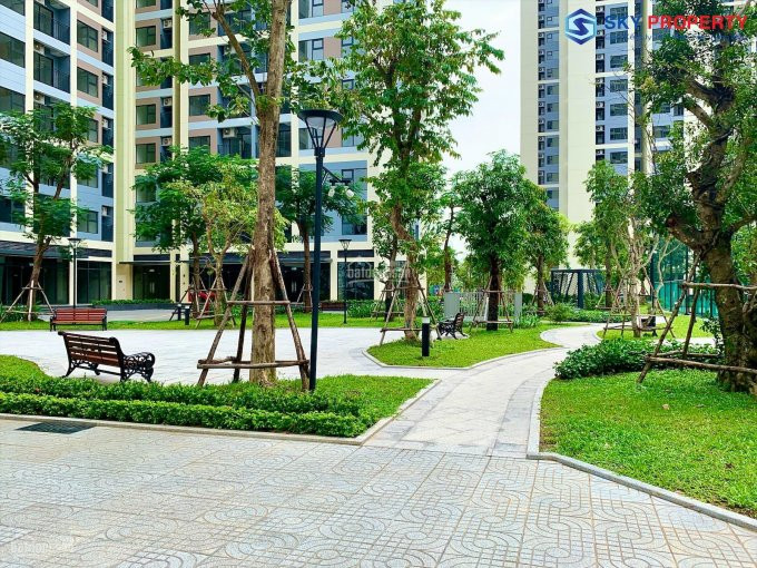 Chính Chủ Cho Thuê Nhanh Shop Vinhomes Grand Park Diện Tích 63m2, Tặng 1 Tháng Sửa Chữa, Trực Diện Hồ Bơi Lớn S1 4