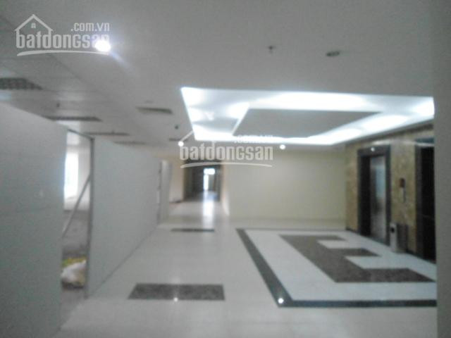 Chính Chủ Cho Thuê Nhanh Văn Phòng Quận đống đa, Phố Nguyên Hồng, 50m2, 80m2, 150m2, 800m2, Giá 120000/m2/tháng 3