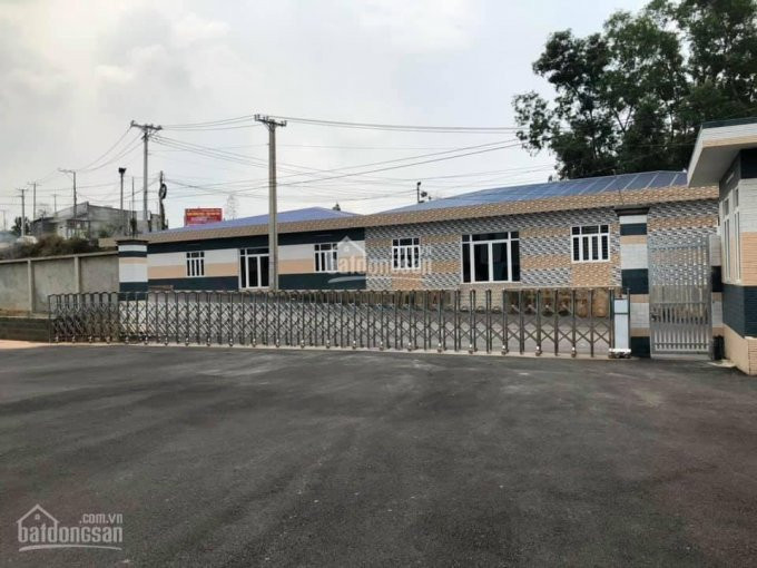 Chính Chủ Cho Thuê Xưởng Cụm Công Nghiệp Bình Chuẩn, 8000m2, Giá 40000/m2 Lh 0931268002 3