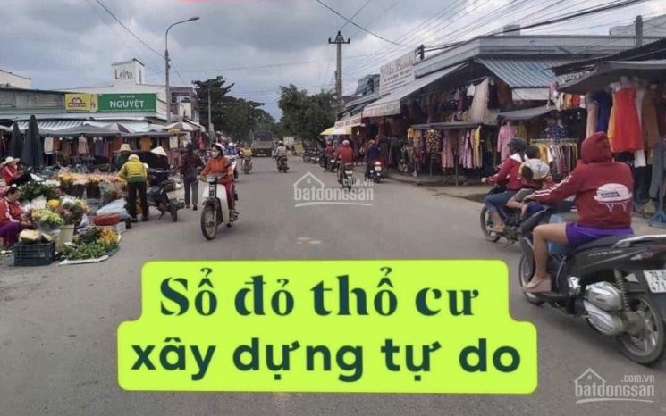 Chính Chủ Kẹt Tiền Bán Lô đất Diên An 1 Lô Giá Rẻ Nhất Khu Vực 1