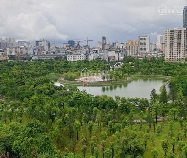 Chính Chủ Thanh Lý Nhanh Nhanh Căn Hộ 2 Phòng Ngủ Chung Cư Golden Park Cầu Giấy, Giá Rẻ Hơn Cđt 300 Triệu 4