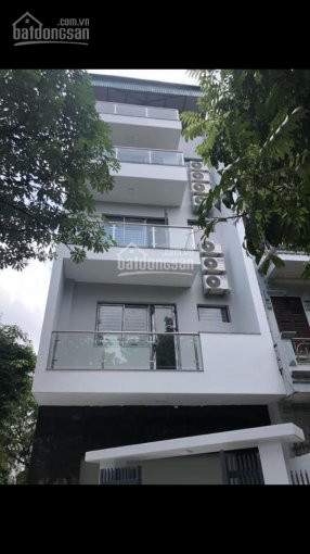 Cho Thuê Nhà Nguyên Căn ở Nguyễn Khang, Cầu Giấy 75m2, 6 Ngủ, Nhà đẹp 1