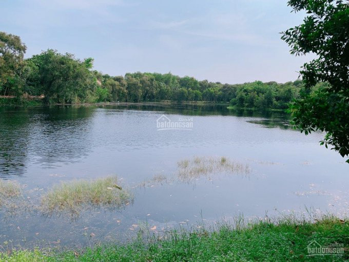 Chuyển Nhượng - Nhà Phố Vườn Sinh Thái - 6x20m - View Rừng Sinh Thái - Gần Hồ Lagoon Trung Tâm 4