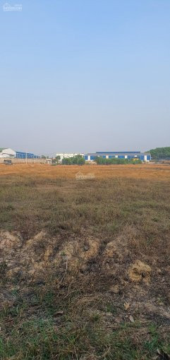 đất Bán 16044m2 (16 Ha)  Skc: 15000m2(15 Ha)  đường Container đi 2 Chiếc: Cách Cát Lái 49km 4