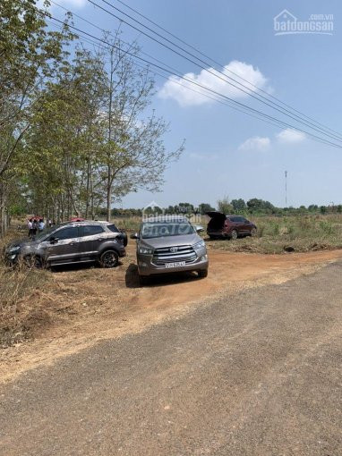 đất Giá Rẻ Mặt Tiền đường Nhựa Lớn, 2km Tới Sân Bay Long Thành Sổ Hồng Riêng 2