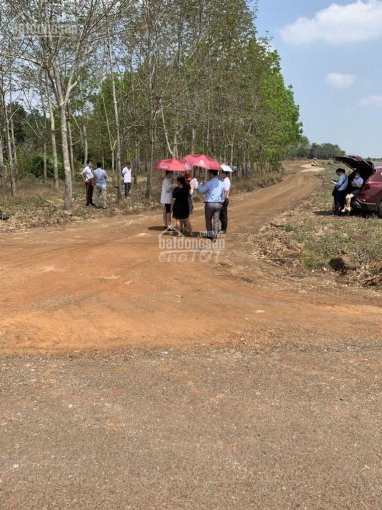 đất Giá Rẻ Mặt Tiền đường Nhựa Lớn, 2km Tới Sân Bay Long Thành Sổ Hồng Riêng 3