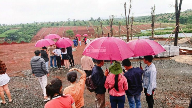 đất Nền Bảo Lộc, Giá Tt 499tr Sổ Riêng Công Chứng Liền 4