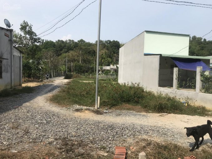 đất Phú Hội, Cách Ngã 3 Bến Cam 600m 3