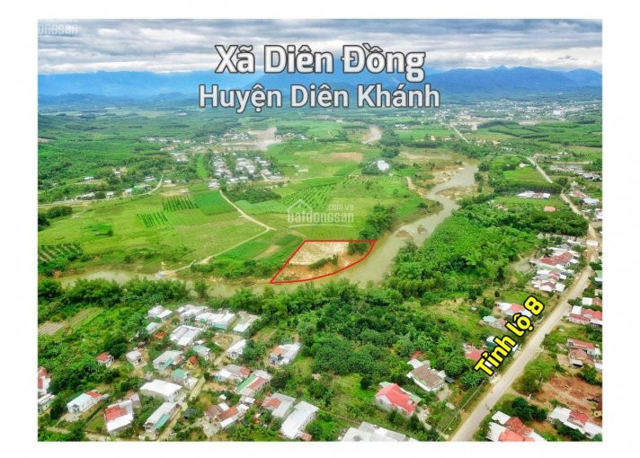 đất View Sông Thích Hợp Kinh Doanh Du Lịch Sinh Thái, Farm Hoặc đầu Tư Sinh Lời 5