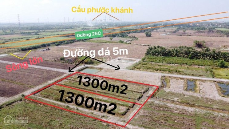 đất Vườn Hơn 1000m2 đxe Hoi Liền Kề Khu Dân Cư Chỉ Cách Phạm Thái Bường  700m 1