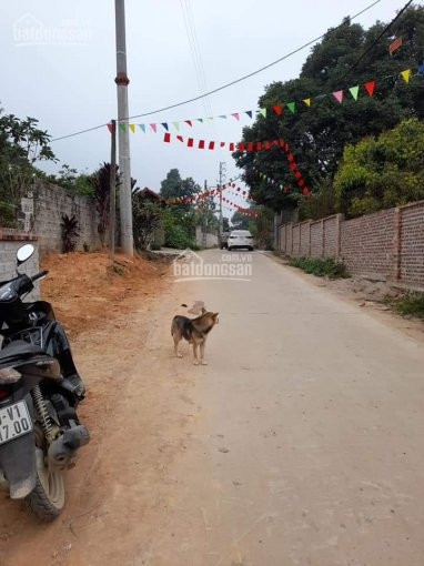 Em Cần Chuyển Nhượng Gấp Lô đất Nghỉ Dưỡng Dt757m Tại Vân Hòa Ba Vì Hà Nội 4